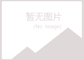 扬州广陵夏日咨询有限公司